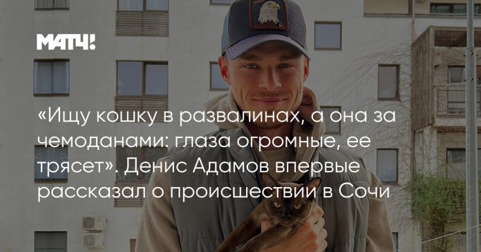 «Ищу кошку в развалинах, а она за чемоданами: глаза огромные, ее трясет». Денис Адамов впервые рассказал о происшествии в Сочи